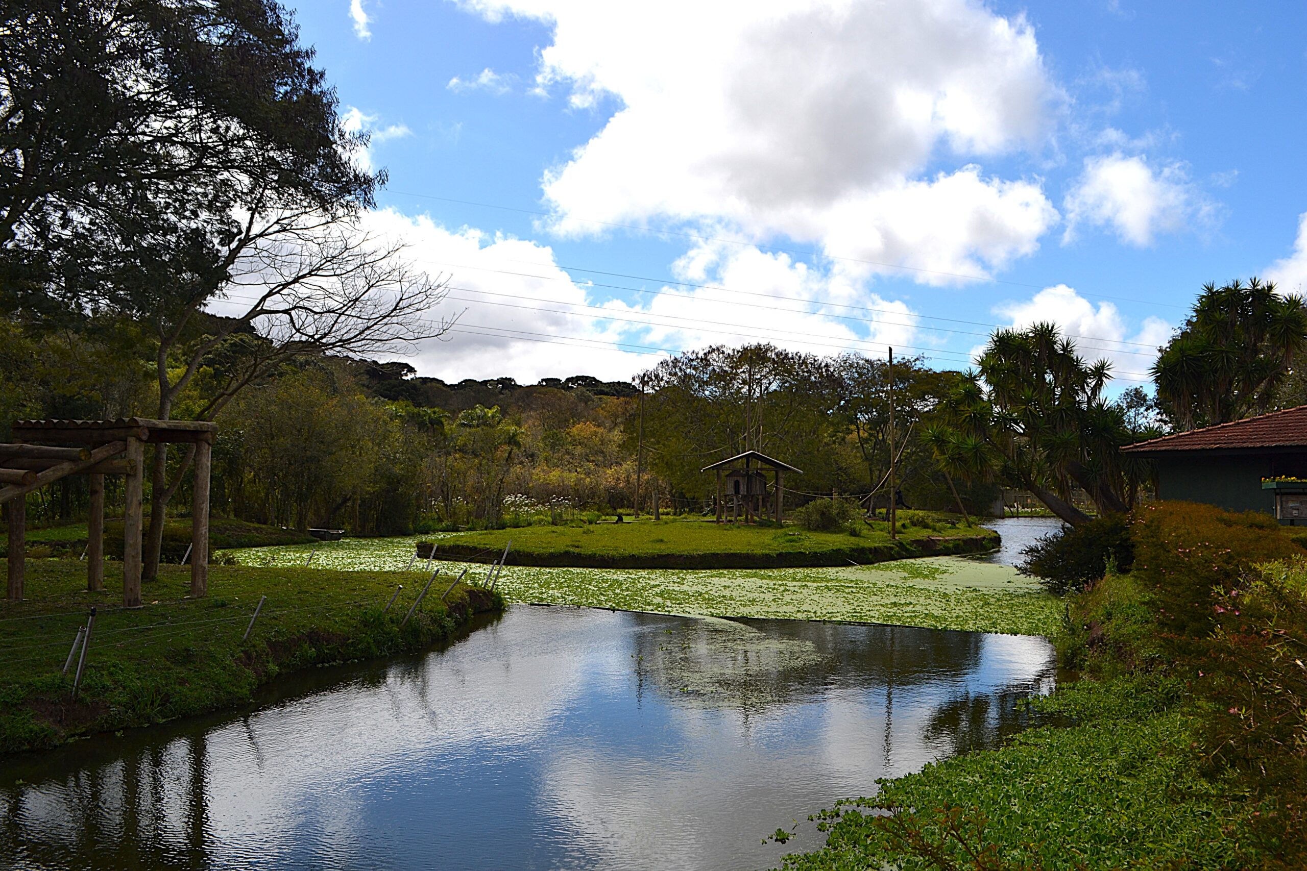 Aproveite um dia no Parque Lago Azul e no Zoológico de Curitiba