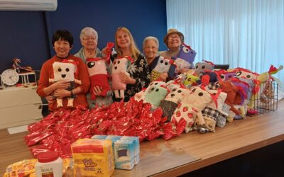 Conheça os Encontros de Artesanato da AEA!